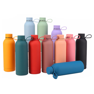 Verf vlekvrye staal aangepaste geïsoleerde waterbottel