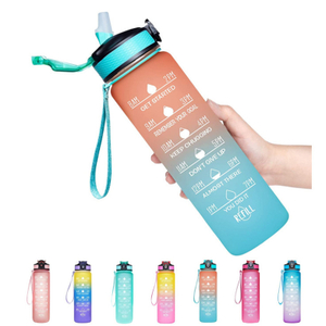 Reënboog deksels plastiek dubbele muur koue water tuimelaar